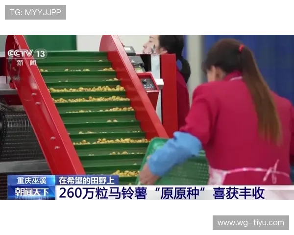 芳草地开奖现场见证幸运时刻